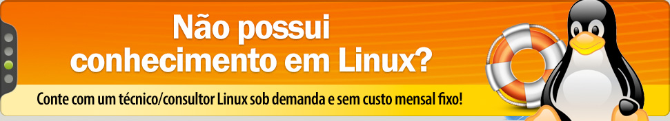 Servidor Dedicado com Gerenciamento Sob Demanda